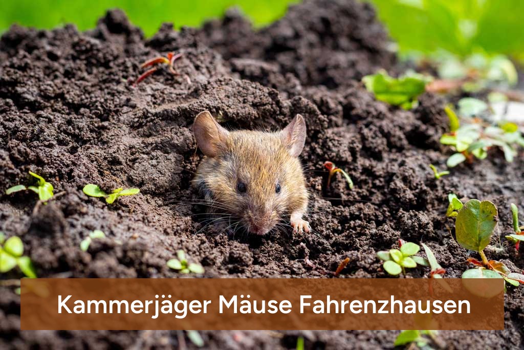 Kammerjäger Mäuse Fahrenzhausen